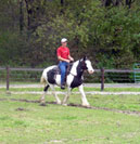 Daniel and Angel.  This was her second session under saddle.