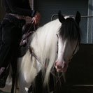 Vonnie and Angel at The Gypsy Vanner Horse Society 2005 show.