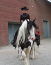 Angel adn Vonnie at the Vanner Society's 2005 Ohio show.