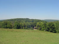 top pasture