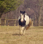 Bella, December 2006