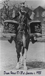 Drum Horse