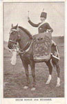 Drum Horse in full regalia