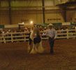 Gypsy Horse Slainte and Daniel at the Ohio Equine Affaire  in 2004