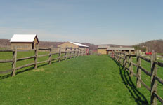 Old Mill Farm's Boarding Facility