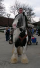 Gypsy Horse, Gypsy Vanner Stallion, Slainte.  Equine Affaire Ohio, 2005