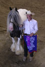 The Gypsy Vanner Horse Society's show in Ohio.  Slainte won Supreme Grand Champion