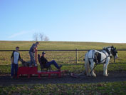 Gypsy Horses Molly adn Angel being worked on the pulling sled as a team.  Freddie, Mason and Daniel on the sled.