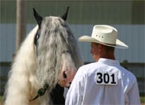 Daniel and Slainte at Double Points Show in Wapak Ohio, hosted byt the Gypsy Vanner Society
