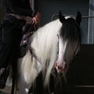 Vonnie and Angel at The Gypsy Vanner Horse Society 2005 show.
