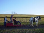 Gypsy Horses Molly adn Angel being worked on the pulling sled as a team. Freddie, Mason and Daniel on the sled.