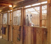 Gypsy Vanner stallion Slainte peeks out of the stall!