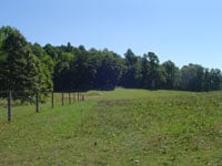 back pasture