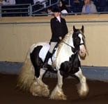 Vonnie and Slainte, Oklahoma 2006, English Pleasure walk/trot