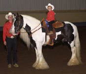 Slainte, Daniel and Wyatt in the Leadline Class at OK State Fair Vanner Show