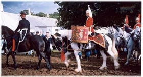 Drum Horse, Spartacus in action