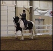 Drum Horse Guinness and Vonnie take a final lap, waving to the crowd after the Gypsy and Drum Horse demo at Equine Affaire 2003